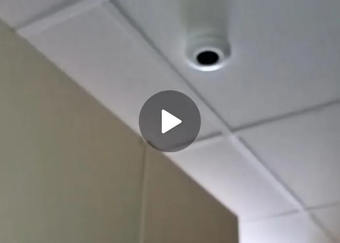 L' Amabile Volpe - Via Carlo Levi 2&2 Lejlighed